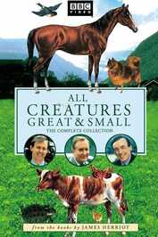 GR ▎ All Creatures Great and Small