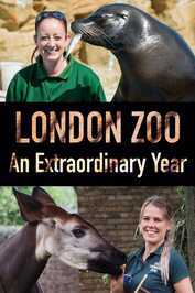EN ▎ London Zoo: An Extraordinary Year
