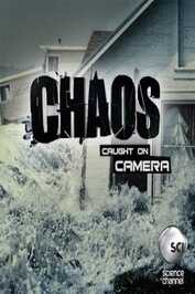 NL ▎ Chaos Caught on Camera