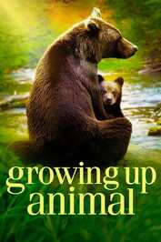 PL ▎ Growing Up Animal