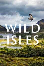EN ▎ Wild Isles 4K