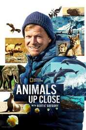 NL ▎Animals Up Close with Bertie Gregory