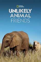 NL ▎Unlikely Animal Friends
