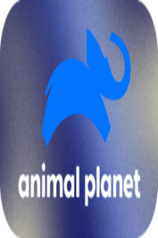 CA ▎ANIMAL PLANET HD