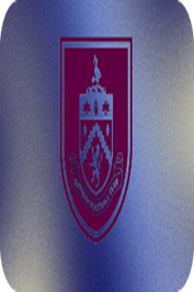 BIRMINGHAM CITY :