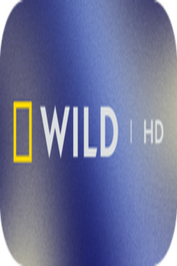 UK ▎NAT GEO WILD HD