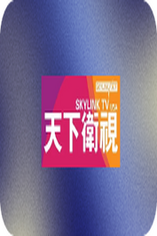 TW ▎SKYLINK TELEVISION