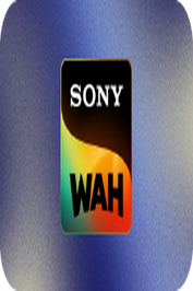 HINDI ▎SONY WAH