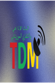 MR ▎TDM PROMOTIONAL CHANNEL