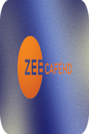 ENGLISH ▎ZEE CAFE HD